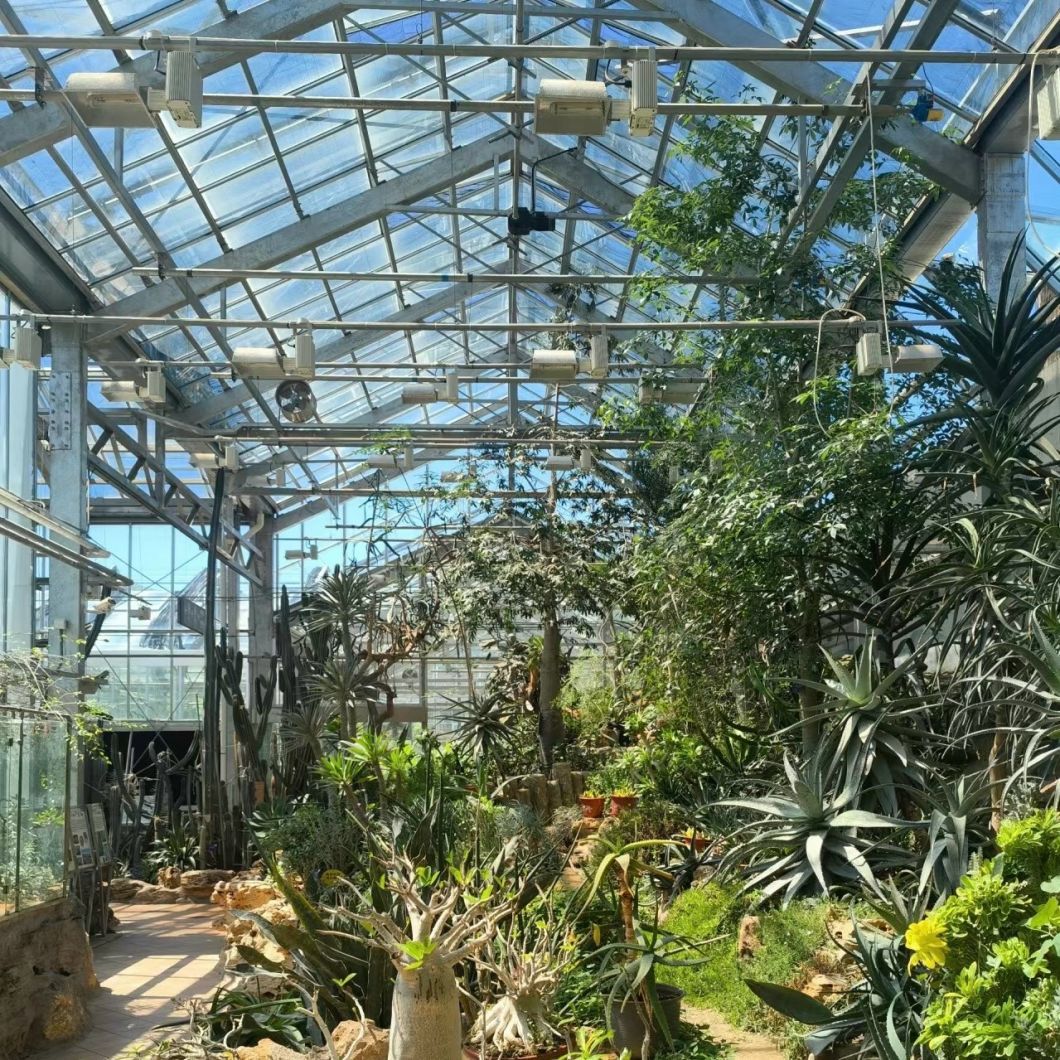 Greenhouse for Botanical Oasis Enclosure