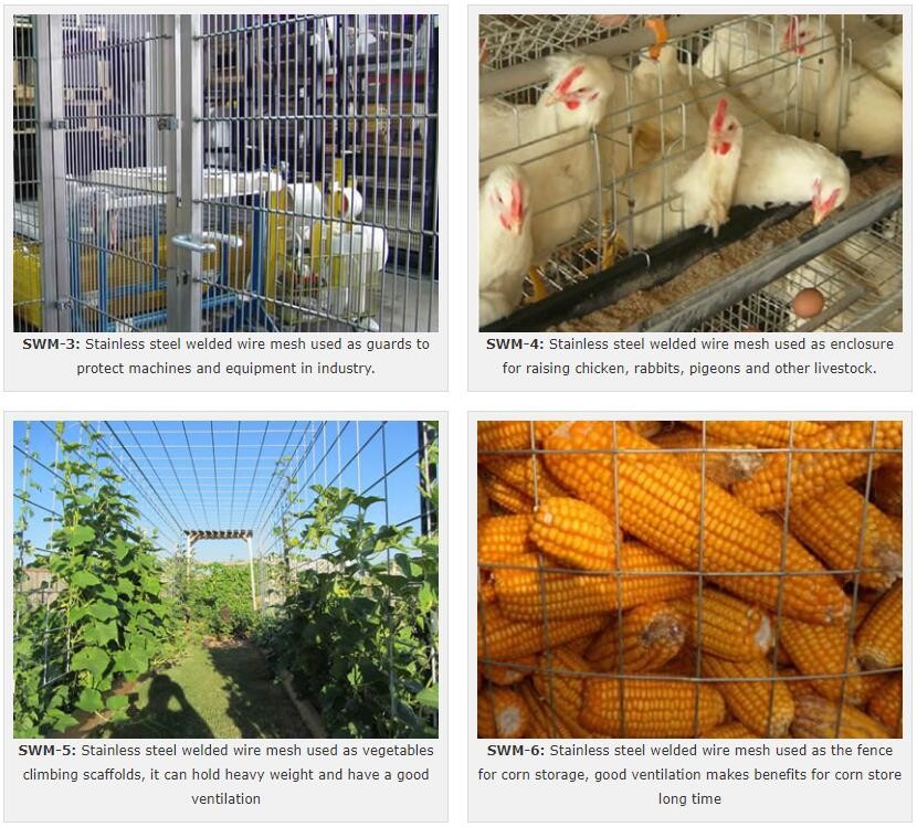 0.6mm Stainless Steel Welded Wire Mesh