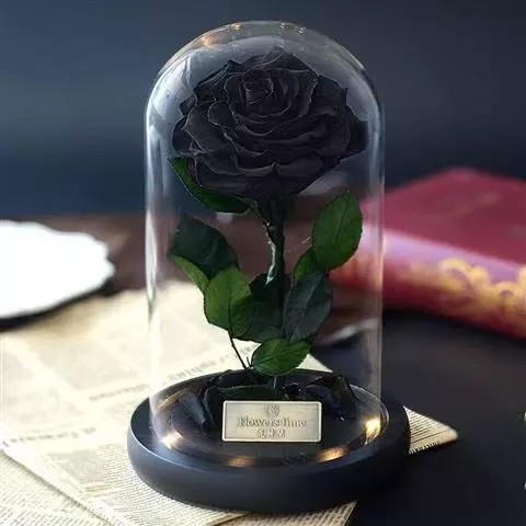 Preserved Rose Flower Box Never Withered Flowers Home Decoration