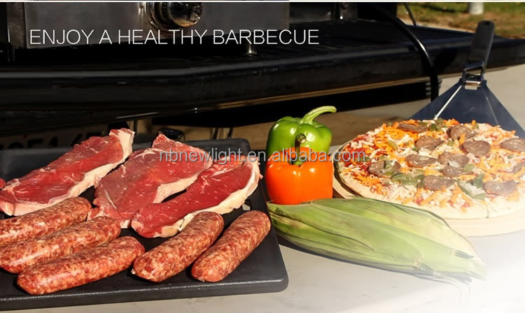Rotisserie Roaster Propane Grill with Tabletop Pizza Maker and Stainless Steel Housing