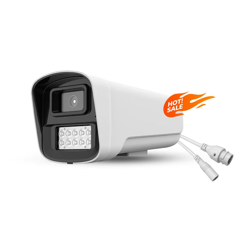 Dual Light Night Vision IP66 Waterproof Security Camera IP 2-way Audio Human detection CCTV POE Network Bullet Camera