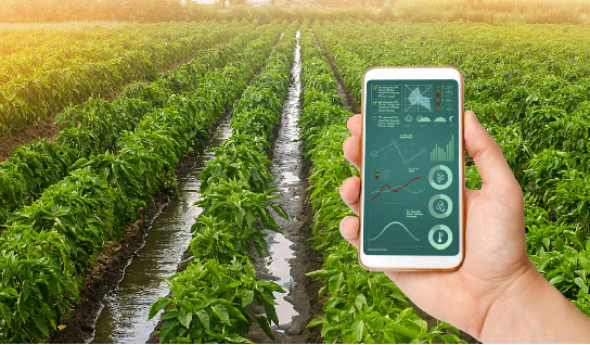 Smart irrigation system