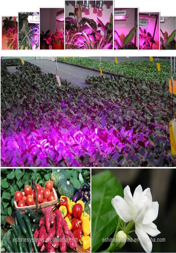 eshine 3G diamond series full spectrum 11 bands led grow light Veg/Bloom Swithces