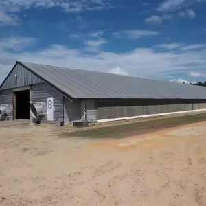 Buy cheap Prefab Steel Structure Chicken House Building , Light Steel Fabricated Building product