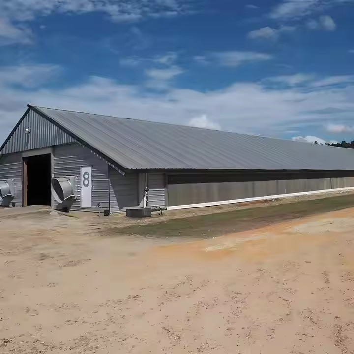 Q235B Q355B Steel Structure Chicken House , Economical Prefab Steel Structure Building
