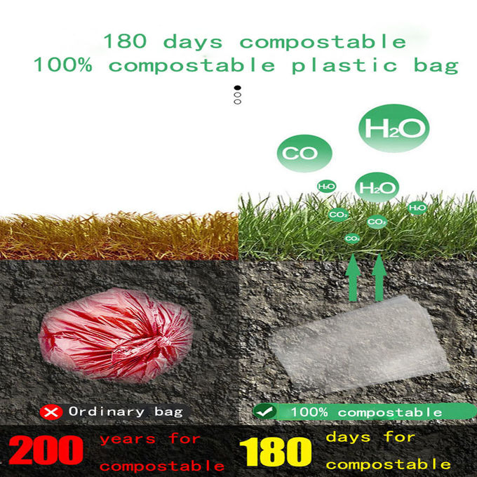 Frosted Biodegradable Packaging Bag