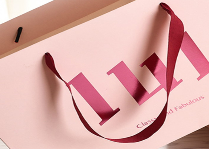 Ribbon Handle Paper Shopping Bags With Strong Heat Resistant Glue Reinforce