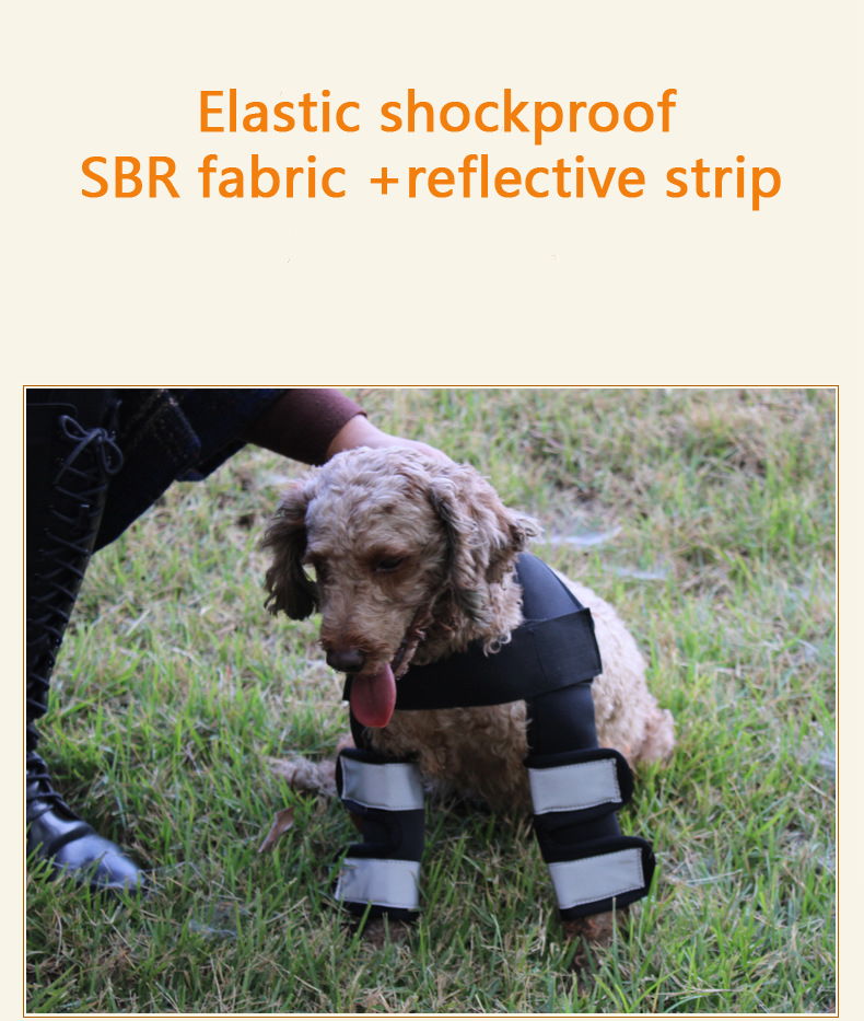 Hock Joint Sports Knee Pads Breathable Shockproof Custom Small Dog Knee Brace
