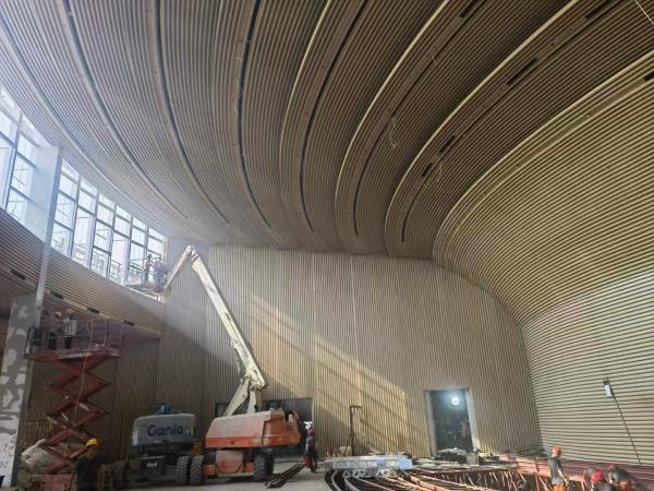 Museum 3D Radius Curved Metal Ceiling Baffle Soundproofing Woodgrain Wall