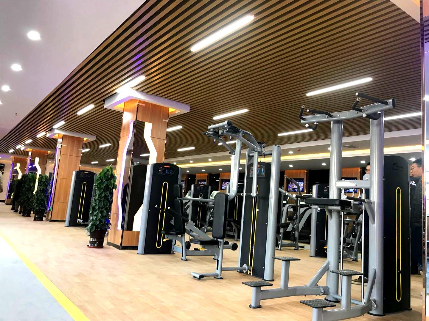 Pull Up Bar Leg Raise Chest Shoulder Workout Power Tower Dip Station Gym Equipment