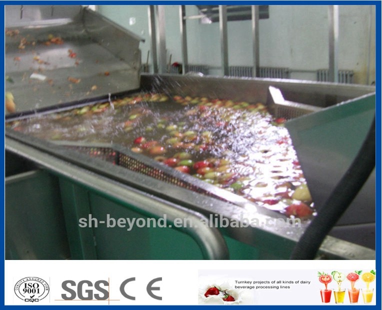 Fruit Juice Production Fruit And Vegetable Processing Device With SUS304 / SUS316 Steel