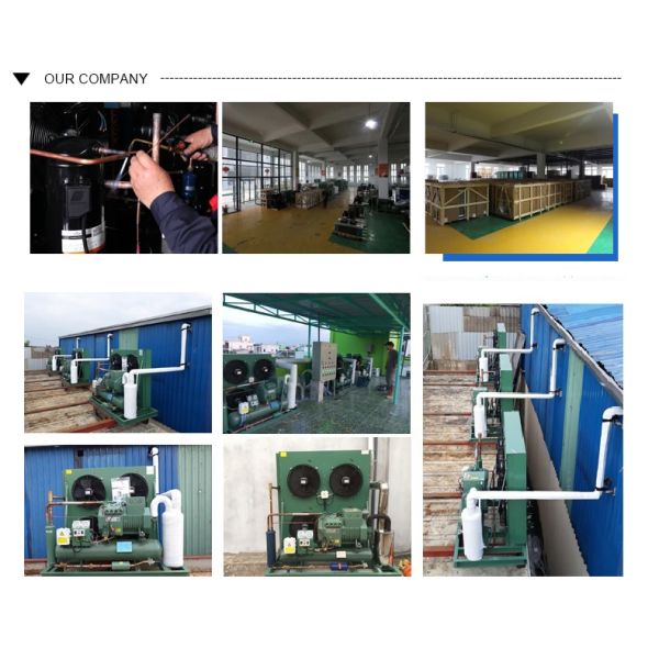 Best Quality Rotary Air Cooler Evaporator for Restaurant Refrigeration Tube Evaporator Core Motor Component with Compressor