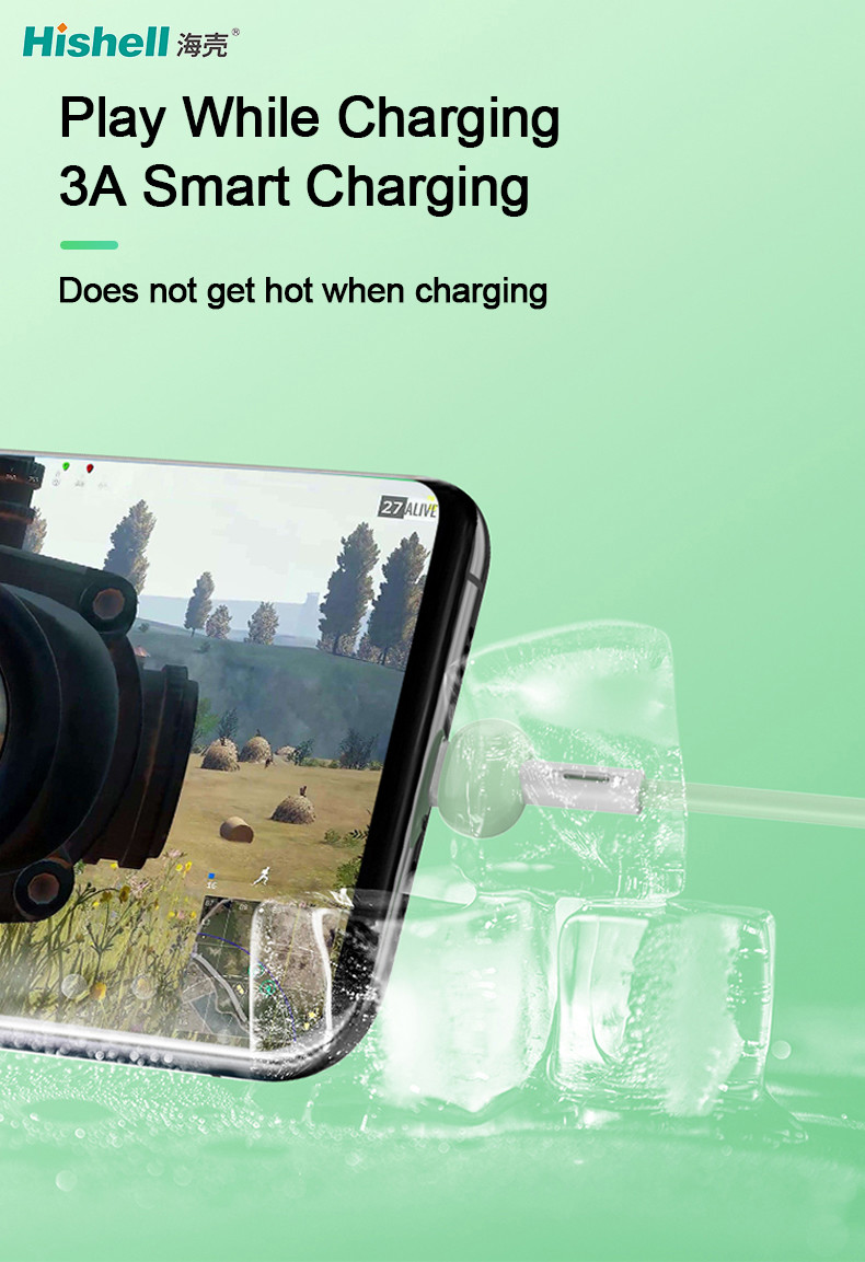 OEM Flameproof Data Mobile Phone Charging Cable Type C Anti Oxidation