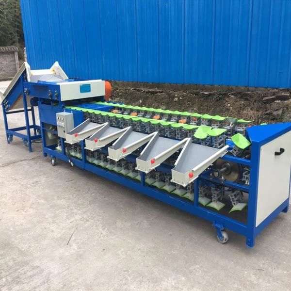 Raisin Cleaning Tomato Apple Cherry Blueberry Sorting Machine