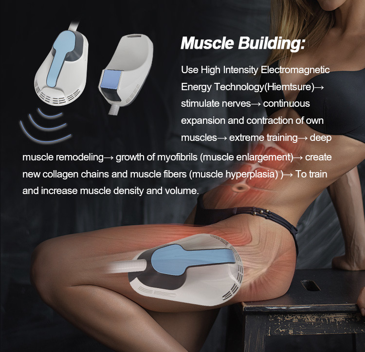 Magnetic Field Fat Sculpting Machine 110V 220V for Muscle Building