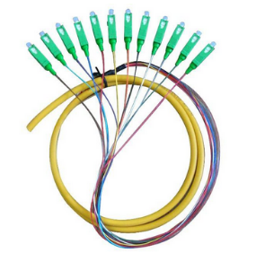 SC/APC  SM 12Core  Pigtail