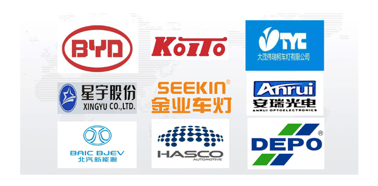 2g Magnesium Chloride Desiccant Headlight Moisture Absorber