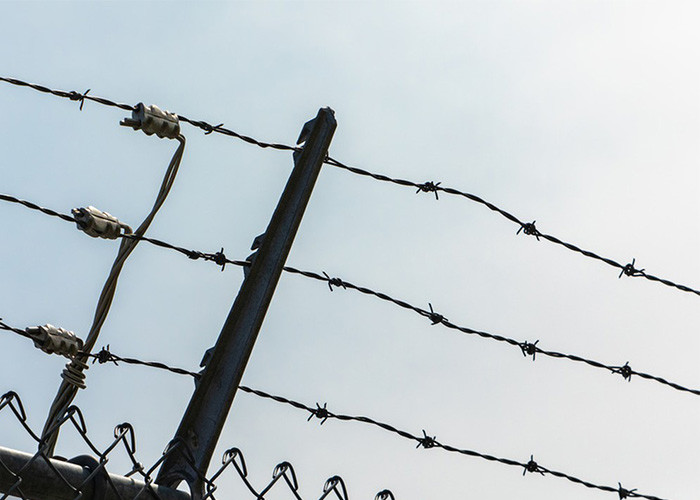 Farm Protection Anti Climb Double Strand Reverse Twist Barbed Wire