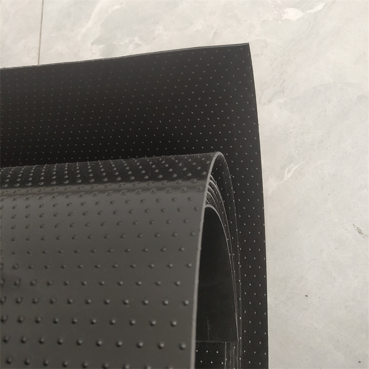 Direct Sold Black Geomembranes for Salt and Alkali Resistance in Construction Sites