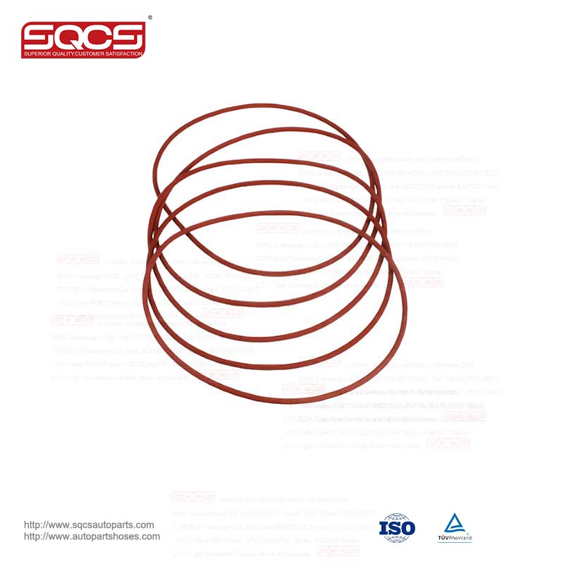 Production of Good Auto Parts SEALING RING 99455400 for Iveco Daily