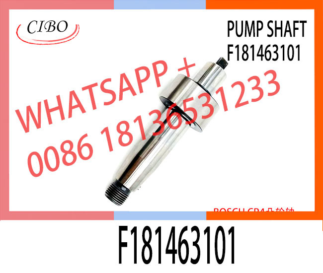 For Bosch CP4 Pump Camshaft F181463101 For 0445020517 Fuel Pump