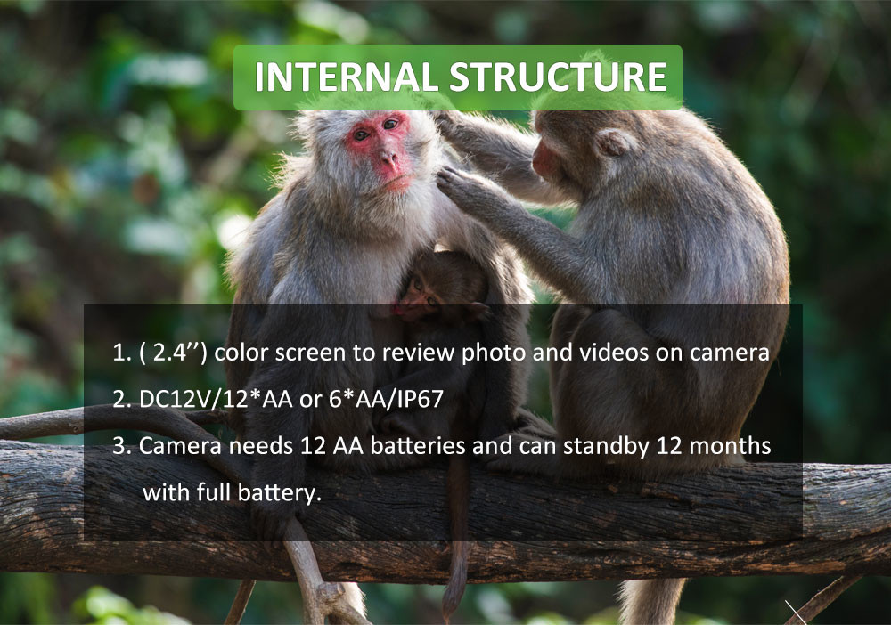 Infrared Digital 4G Trail Camera For Animal Monitoring IP67 Waterproof