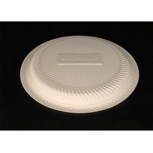 Wholesale compostable sugarcane bagasse takeaway biodegradable disposable