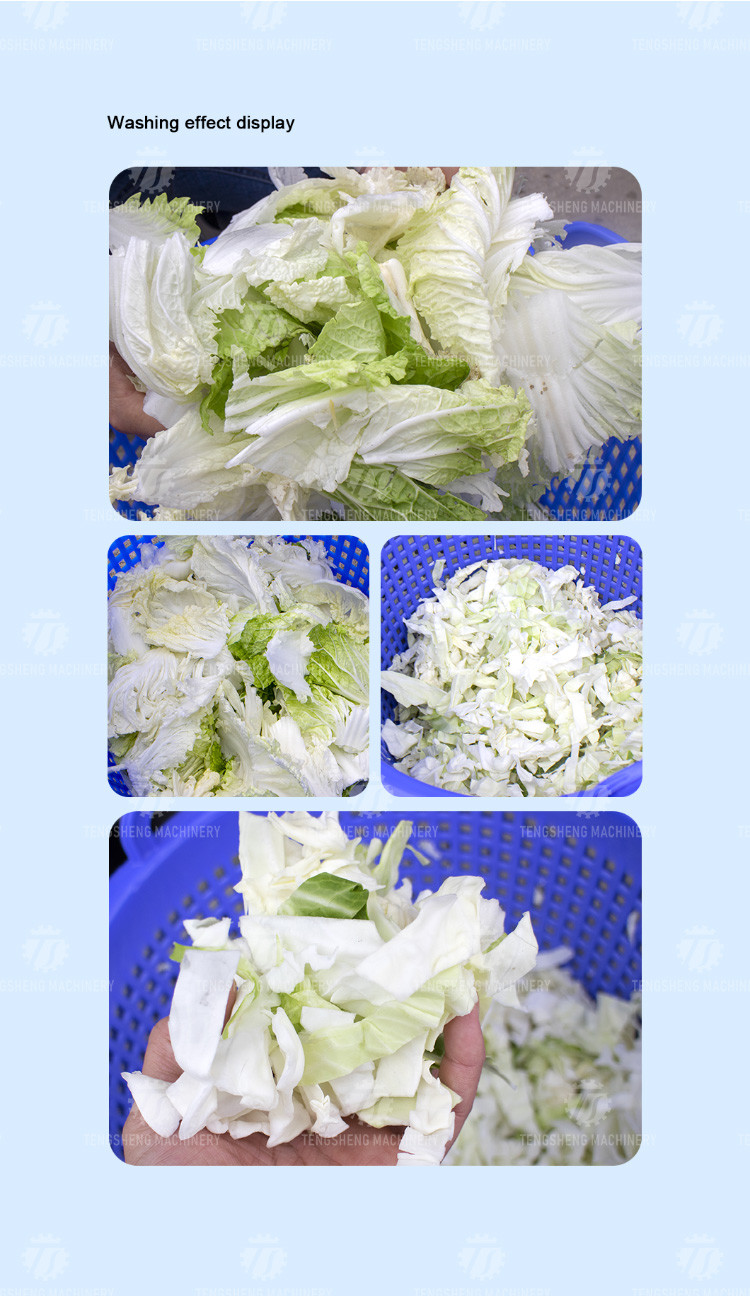 300KG/H Fruit Dewatering Machine Stainless Steel Vegetable Dehydrator