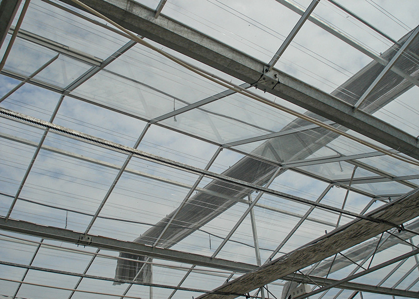 Transparent, Easy-Assemble Galvanized VENLO Greenhouses For Efficient High-Value Agriculture