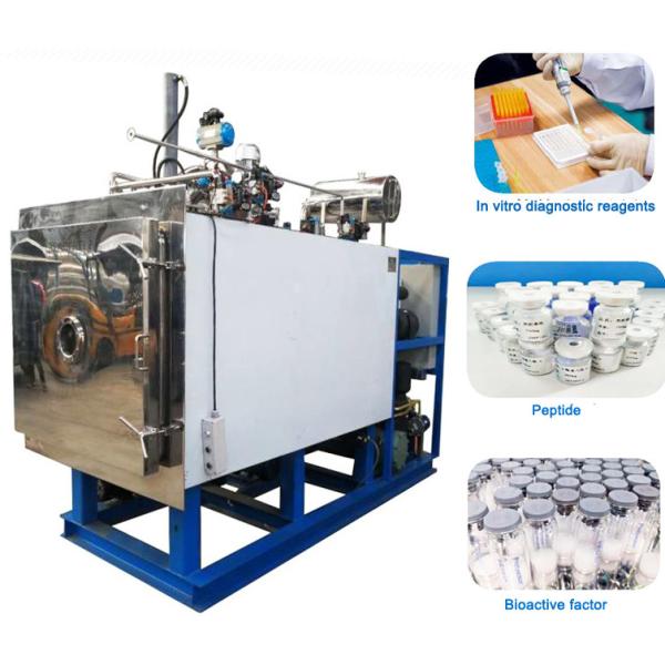 10M2 CIP SIP Pharma Vacuum Freeze Drying Machine Factory Industrial Pharmaceutic