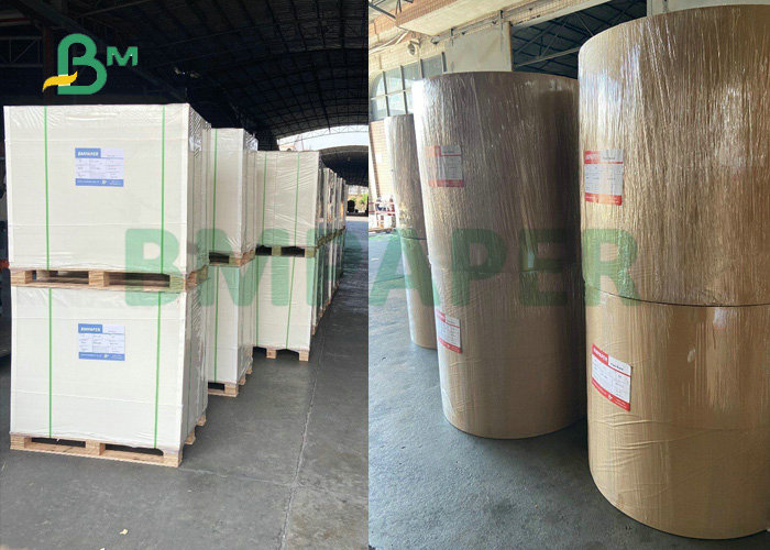 210gsm 230gsm One Side Coated FBB SBS Board For Packaging Industry 
