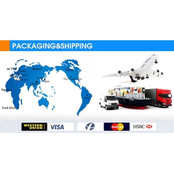 2d /3d/4d Medical Ultrasound Machine