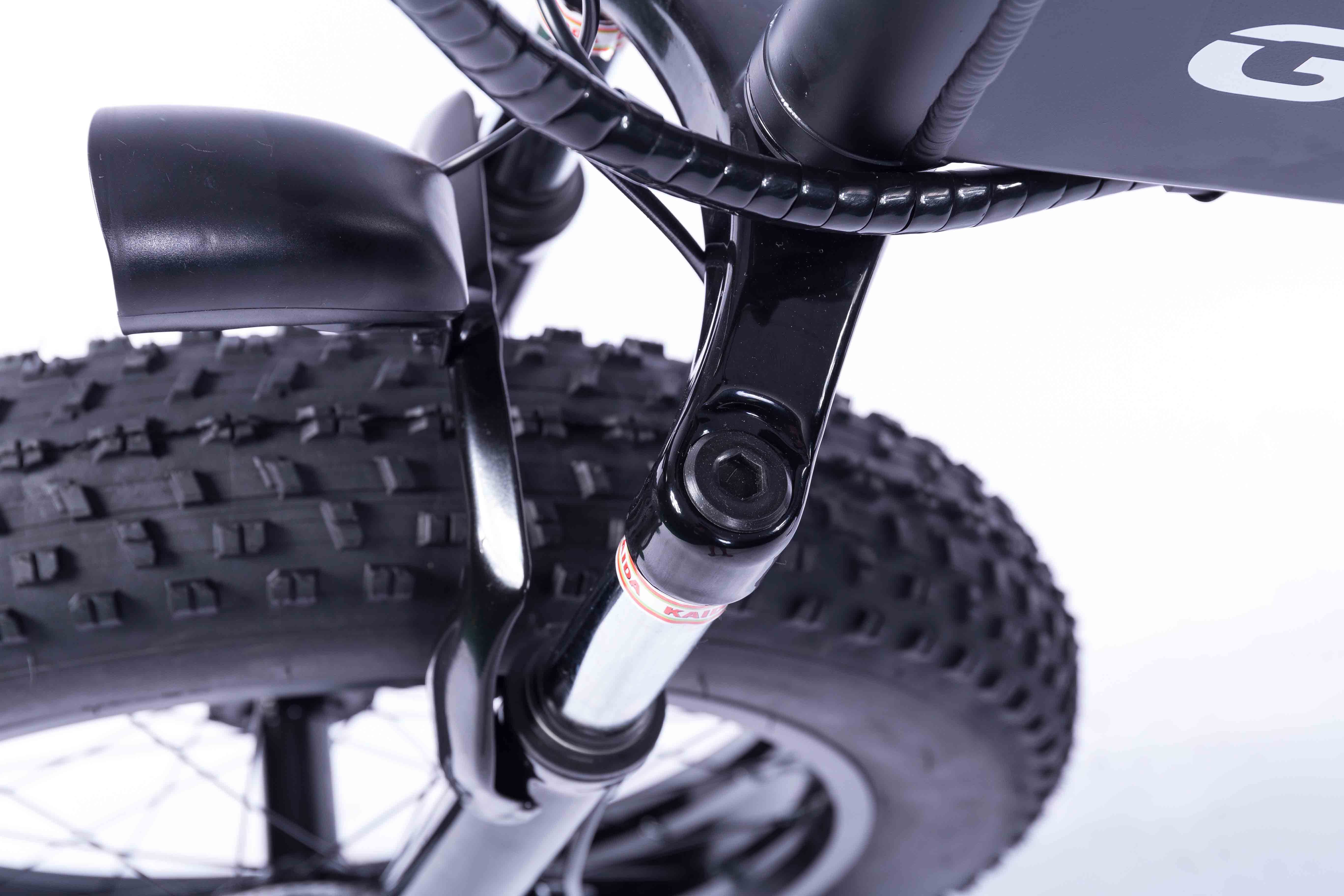 Black 20 Inch Electric Bike , Brushless Motor 36v Fat Wheel Electric Bike