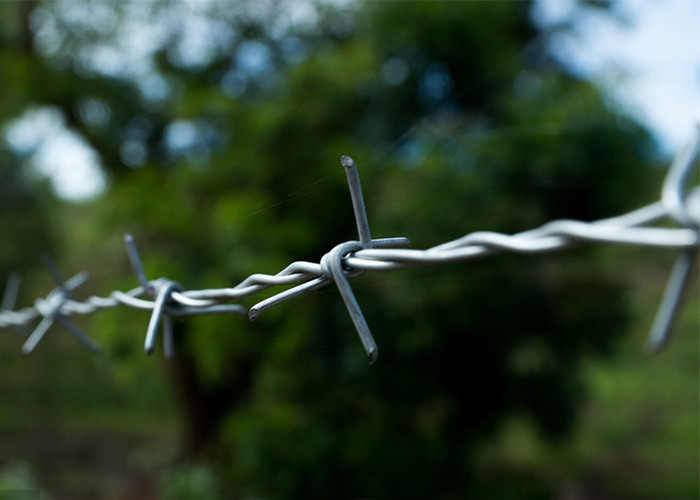 Farm Protection Anti Climb Single Strand PVC Coated Iron Barbed Wire