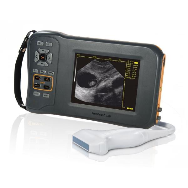 Monochrome Display Veterinary Ultrasound Scanner L60 With 32 Digital Channels