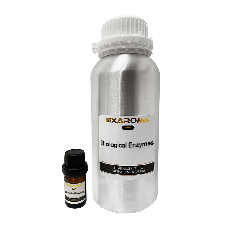 500ML Aroma Diffuser Essential Oil Disinfect Peppermint Essential Oil