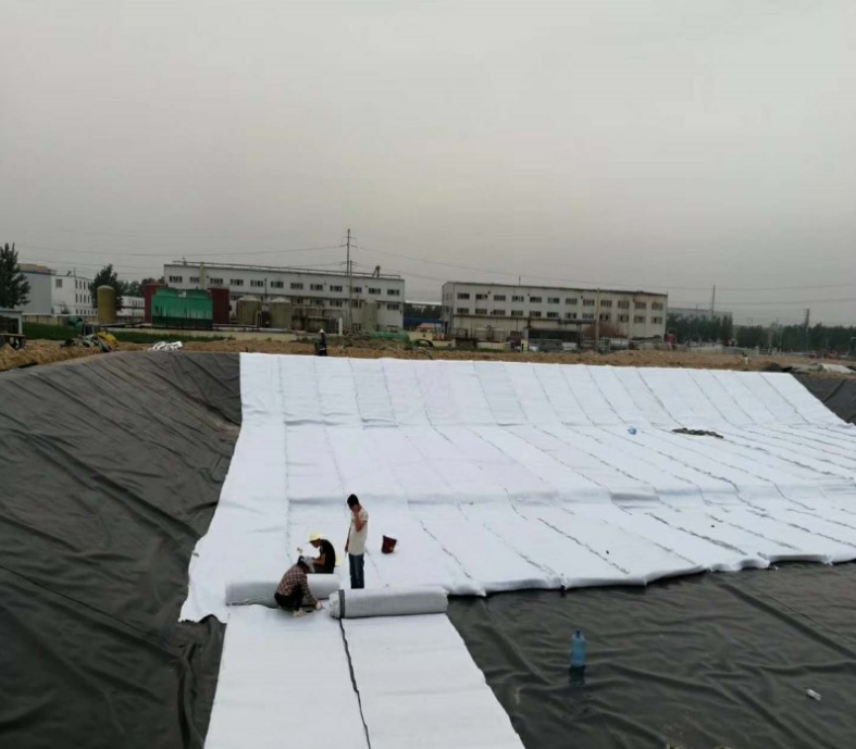 3.4mm-8mm Thickness Landfill Drainage Geonet 3D Composite Solution for Municipal Works