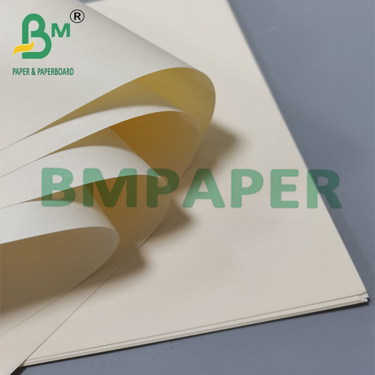100g 120g Creamy Good Ink Absorption Book Paper 66cm x 88cm For School Exercise