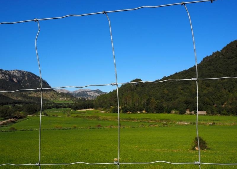 Galvanized Iron 2.5mm horse Mesh Fencing Grassland Fencing corrosion proof