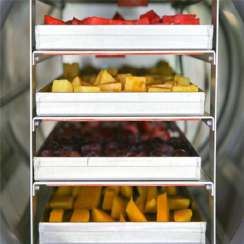 Hotel Fruit Vegetable Food Vacuum Freeze Dryer Machine 0.1m2 750W