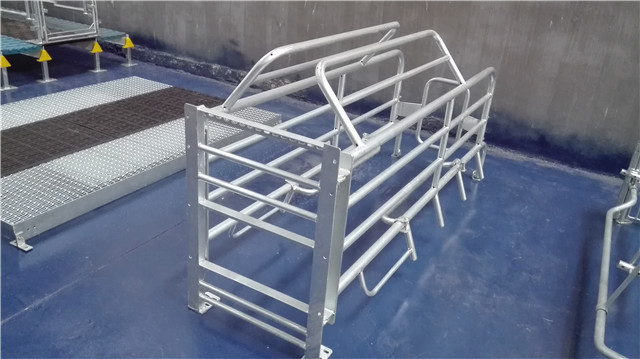 used pig farrowing stall pig crate farming equipment in india