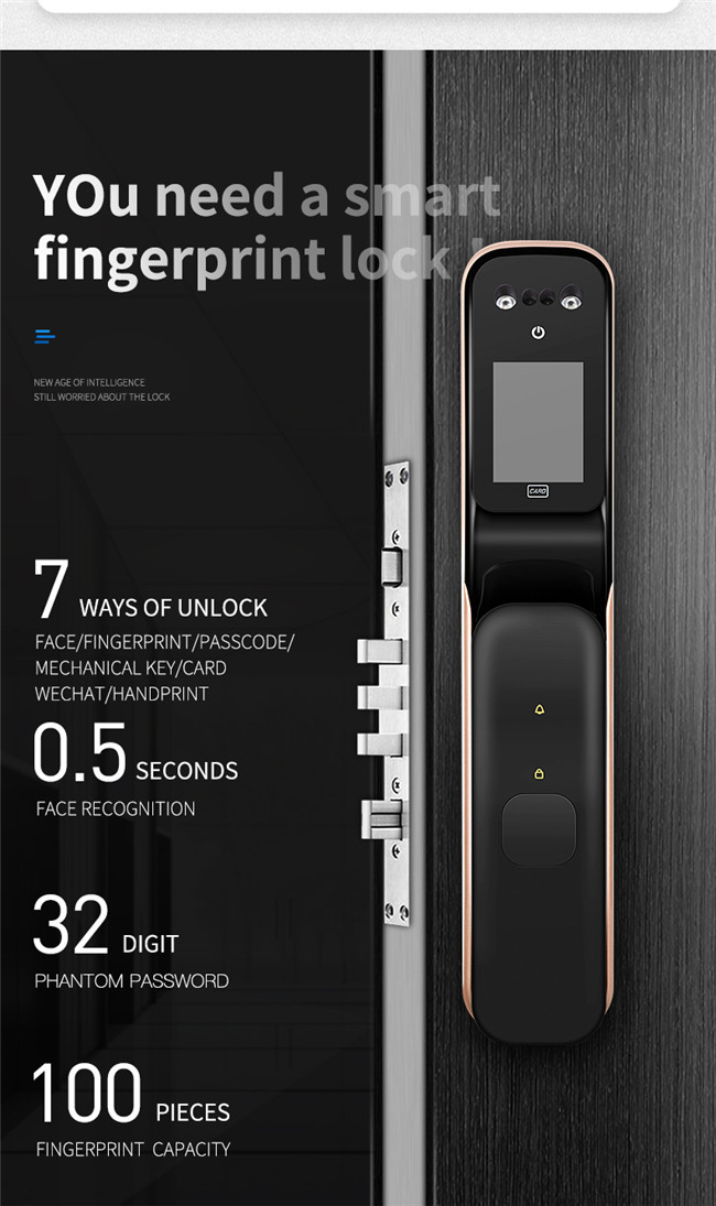 Dual Biometric Induction Alarm Automatic Face Recognition Door Locks