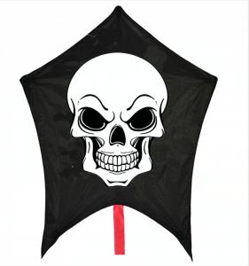 Buy cheap Single Line Easy Carry Special Skull flying kite With  Woven Roving Material and Fiberglass Frame product