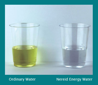 energy cup