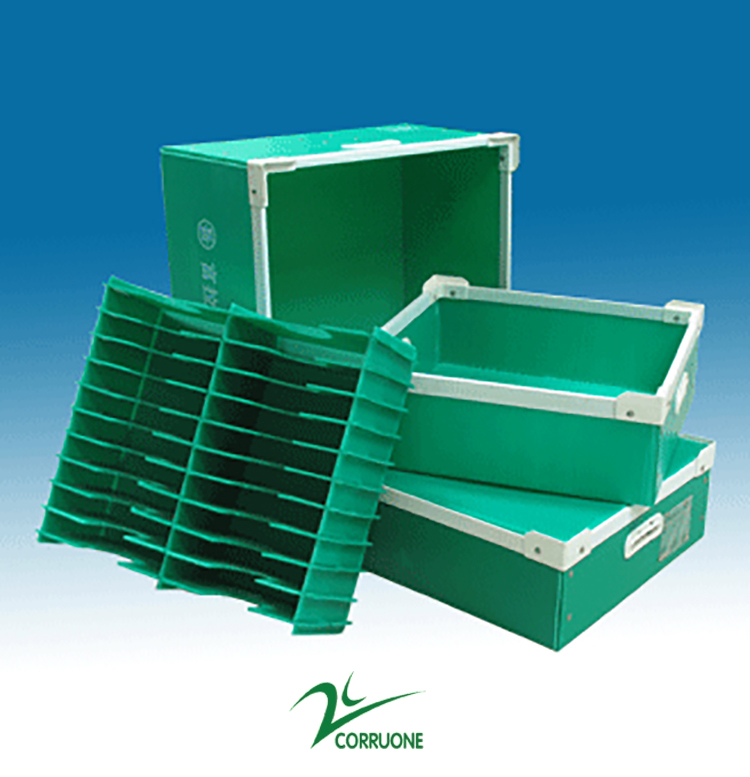 Mangosteen PP Corrugated Box Glossy Apple Coroplast Box Customized