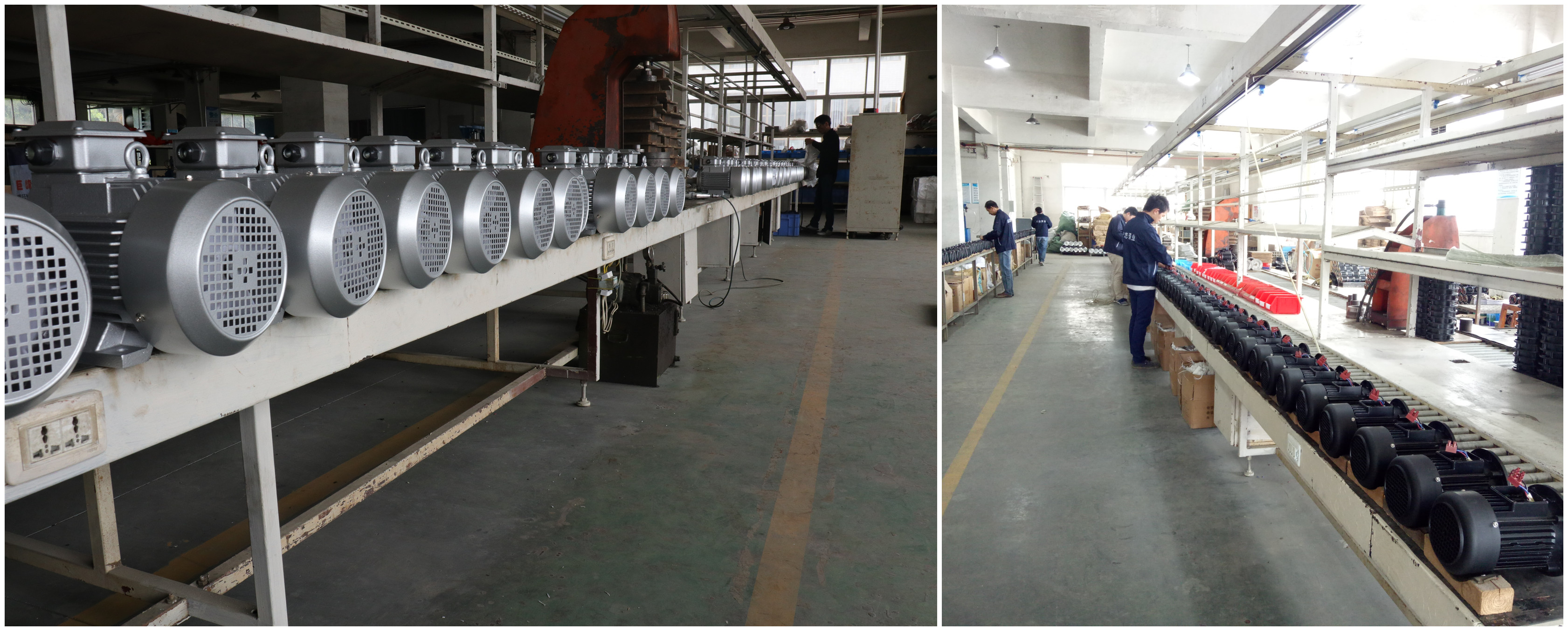 three phase induction motor