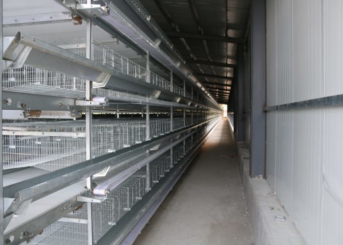 Density Galvanized Industrial Chicken Coop U - Shaped Steel Fram