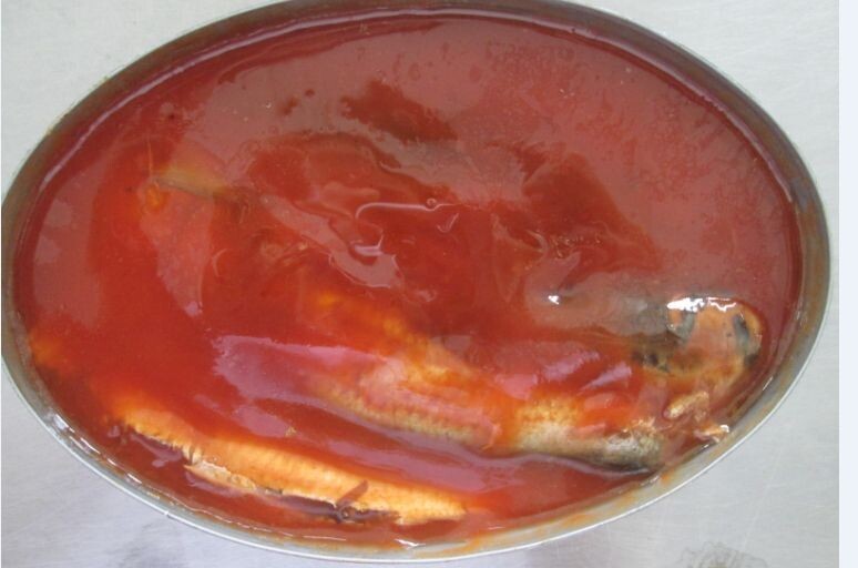 Canned Sardine in Tomato Sauce Net Weight 425G x 24 Tall Tin / Oval Tin