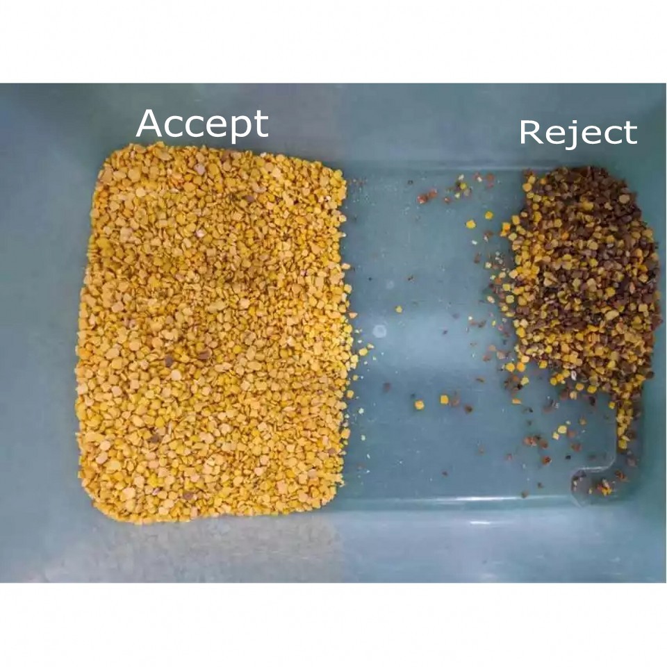 WENYAO Peeled Peanuts Nuts Rice Color Sorter Machine With CCD LED Automatically