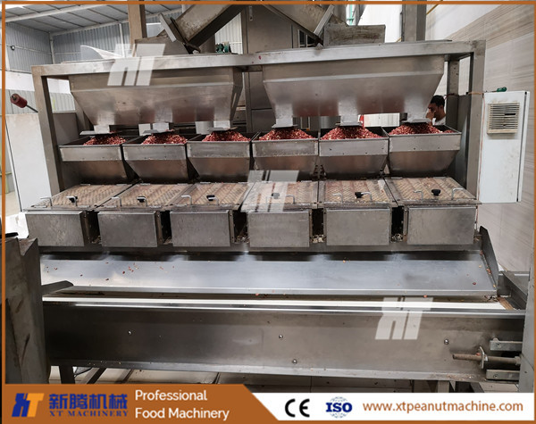 600kg/h Peanut Blanching Machine Hazelnut Roasted Peanut Peeling Machine